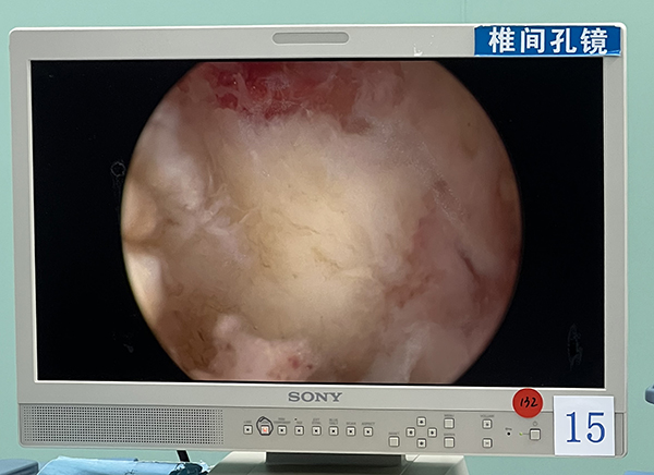 微信图片_20230731075324.jpg