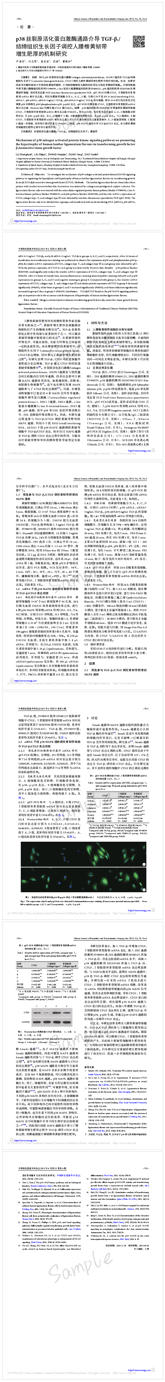 p38 丝裂原活化蛋白激酶通路介导 TGF-β1.png